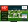 TCL 65Q8C 65 Zoll QD-MiniLED 4K Google TV