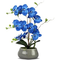 Künstliche Orchidee im Topf Künstliche Orchideen wie echt Orchideen Pflanzen Kunstblumen Orchidee in für Heimtisch Innendekoration Blaue Orchidee Badezimmer Schlafzimmer Dekor