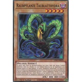 TCG Raubpflanze Taublatthydra LDS3-DE070 Common Yugioh 1.Auflage DE gamersheavenDe