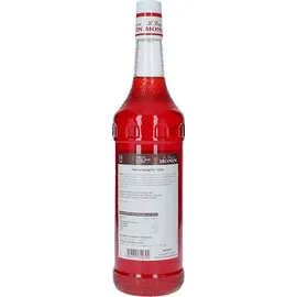 Monin Orange Spritz Sirup 1L