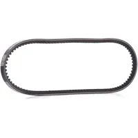 DAYCO 10A0775C Gürtel für ALFA ROMEO/AUDI/CITROËN/DAIHATSU/FIAT/LANCIA/PORSCHE/ROVER/SUZUKI/TOYOTA