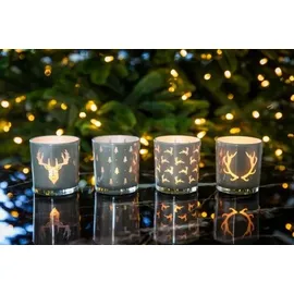 Edzard 2er-Set Teelichtglas (Höhe 8 cm, Ø 7 cm), außen grau, innen Gold - Windlicht, Kerzenglas (Hirschkopf)