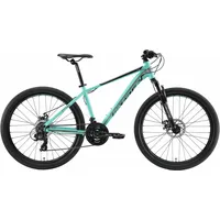 Bikestar Mountainbike, 21 Gang, Shimano, RD-TY300 Schaltwerk, Kettenschaltung, für Damen und Herren, Kettenschaltung, 78510566-41 grün 26 Zoll (66,04cm),