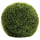 Fink Buchskugel "Buxus" in Grün - H. 40 cm - D. 40 cm | Gr.: onesize