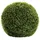 Fink Buchskugel "Buxus" in Grün - H. 40 cm - D. 40 cm | Gr.: onesize