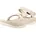 Hurricane XLT Damen Oyster 37
