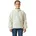 Sweatshirt 14