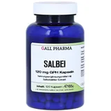 Salbei 120 mg GPH Kapseln