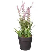 Mica decorations - Mica Künstlicher Lavendel Im Topf Rosa 24 X 10 Cm Dekoblumen