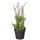 Mica decorations - Mica Künstlicher Lavendel Im Topf Rosa 24 X 10 Cm Dekoblumen