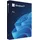 Microsoft Windows 11 Pro USB-Stick DSP/SB DE