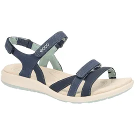 ECCO Cruise II marine/ice flower 37