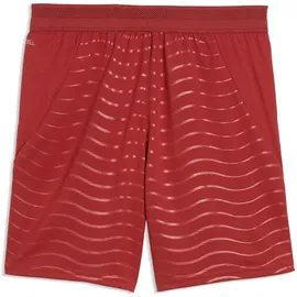 Puma Portugal Shorts 2025/26 Replica rot/grün Kinder Gr. 176