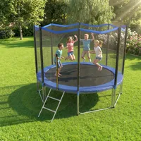 305 Cm Großes Trampolin Mit Sicherheitsnetz Und Außenleiter.