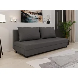 Homesy Schlafcouch mit Bettkasten 2-Sitzer Silber