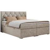 MKS Boxspringbett 140 x 200 cm H3 Beige