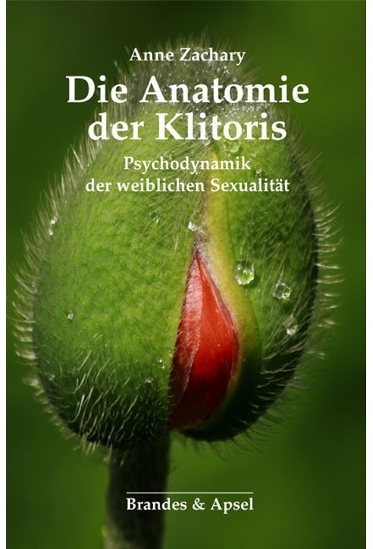 Die Anatomie Der Klitoris - Anne Zachary  Kartoniert (TB)