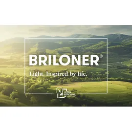 Briloner LED-Panel 1-flg. 33 cm rund weiß