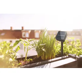 Paulmann LED Stripe Solar 3m Kunststoff inkl. Dämmerungssensor 0,3W 48lm schwarz