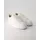 GANT McJulien Herren White 43