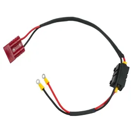 Bulltron Lithium Batterie-Set für Clesana C1 inkl. Powermanagement & Anschlusskabel