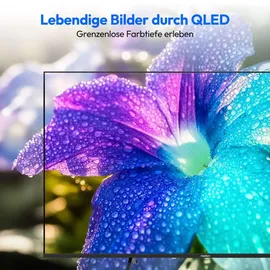 Medion MD 855602 55" 3840 x 2160 Pixel QLED 4K-Fernseher