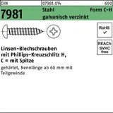 Reyher Blechschraube DIN 7981 C 4,8 x 60 mm 250 Stück