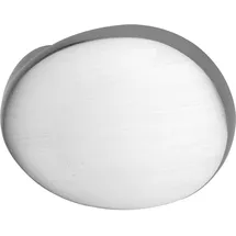 N/H Türknopf gekröpft oval 51 x 81 x 47