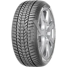 Sava Eskimo HP2 225/50 R17 98V