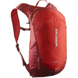 Salomon TRAILBLAZER 10 RED DAHLIA/HIGH, RED/ - Rot