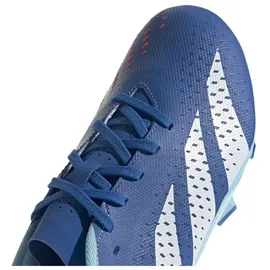 adidas Predator Accuracy.3 L FG Herren Broyal/Ftwwht/Bliblu 42 2/3