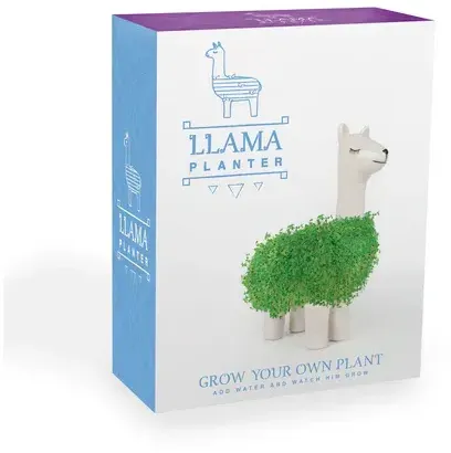 Gift Republic Green Lama