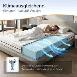 MSS e.K. 7 Zonen Kaltschaum 90 x 200 cm H2/H3