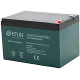 SHENZEN 6-DZF-14 12 V 14000 mAh 1 St.