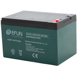 SHENZEN 6-DZF-14 12 V 14000 mAh 1 St.