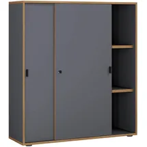 VCM Salia Schiebetürenschrank 100 x 37,4 x 110 anthrazit