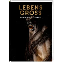 Coppenrath Lebensgroß | Bücher für Kinder | Pferde Aus Aller Welt