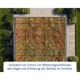 Hörmann Dachrahmen für Gründach Pultdach Typ 3 316,5 x 284,3 cm Grün