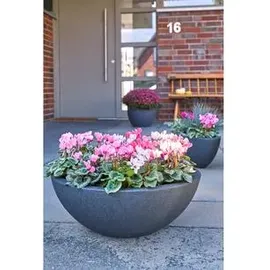 Dehner Kugelschale Ø 52 cm Höhe 20 cm Kunststoff anthrazit