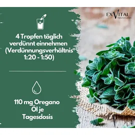 Exvital Oregano Öl 30 ml
