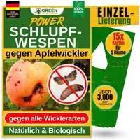 Green guardia Schlupfwespen gegen Apfelwickler - 15 Karten à