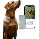 PAJ GPS Tracker für Hunde - 4G - Weglaufalarme + weltweite Live-Ortung - Akkusparmodus in Routernähe - Hunderückruf - mit Leucht-LEDs - Wasserdicht (IP67) - passt an jedes Halsband - grau