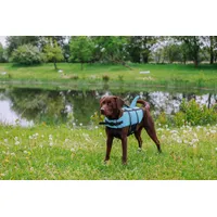 Nobby Hunde Schwimmweste Sharki mit Haiflosse Größe hellblau