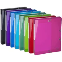 Exacompta 59770E 8er Pack Sammelbox Iderama mit Gummizug 40