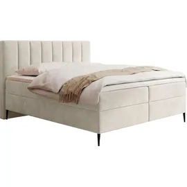 WFL GROUP Boxspringbett mit Bettkasten 120 x 200 cm H4