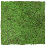 JANGAL Wandpaneel Jangal Modular Wall Grün 2 St. 52 x 52 cm