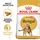 Royal Canin Bengal Adult 2 kg