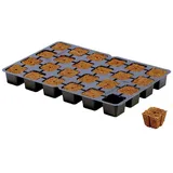 hga international b.v. Eazy Plug Stecklingstray 24 Stück