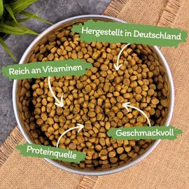 Lyra Pet 2,5 kg Lecker.Pet® Leo's Adult Geflügel & Forelle Katzenfutter Trockenfutter Vollnahrung + 2 Mäuse