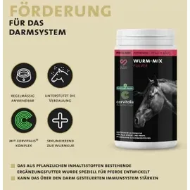 Peticare Wurm-Mix Pulver für Pferde 200 g
